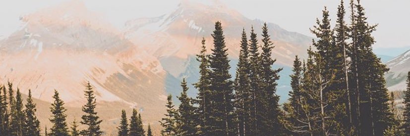 SheriahPace's profile banner image