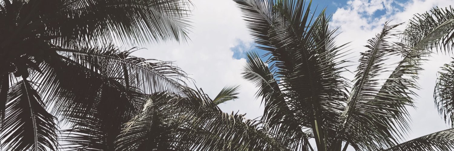 juliaotino's profile banner image