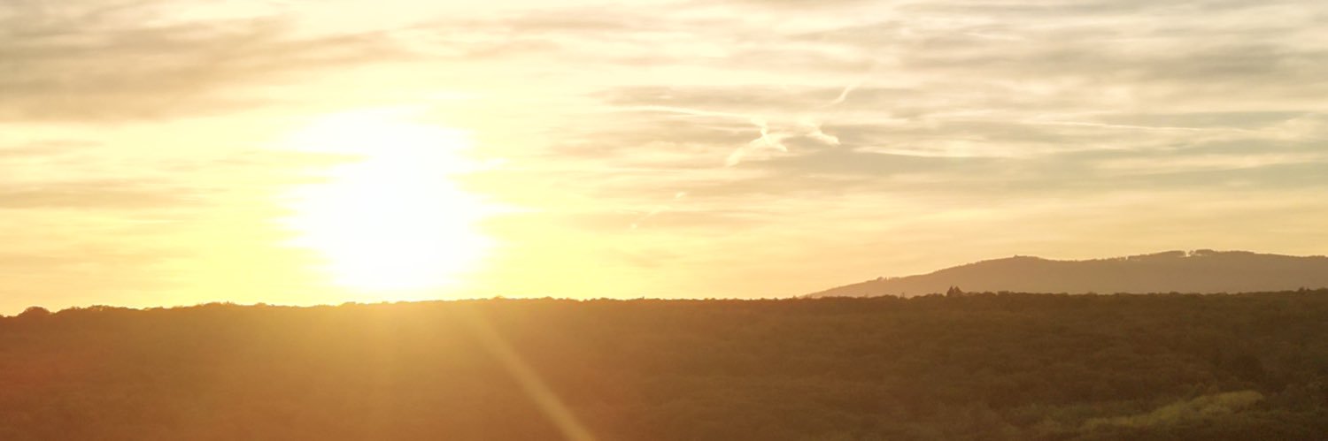 nicolaspreiss's profile banner image