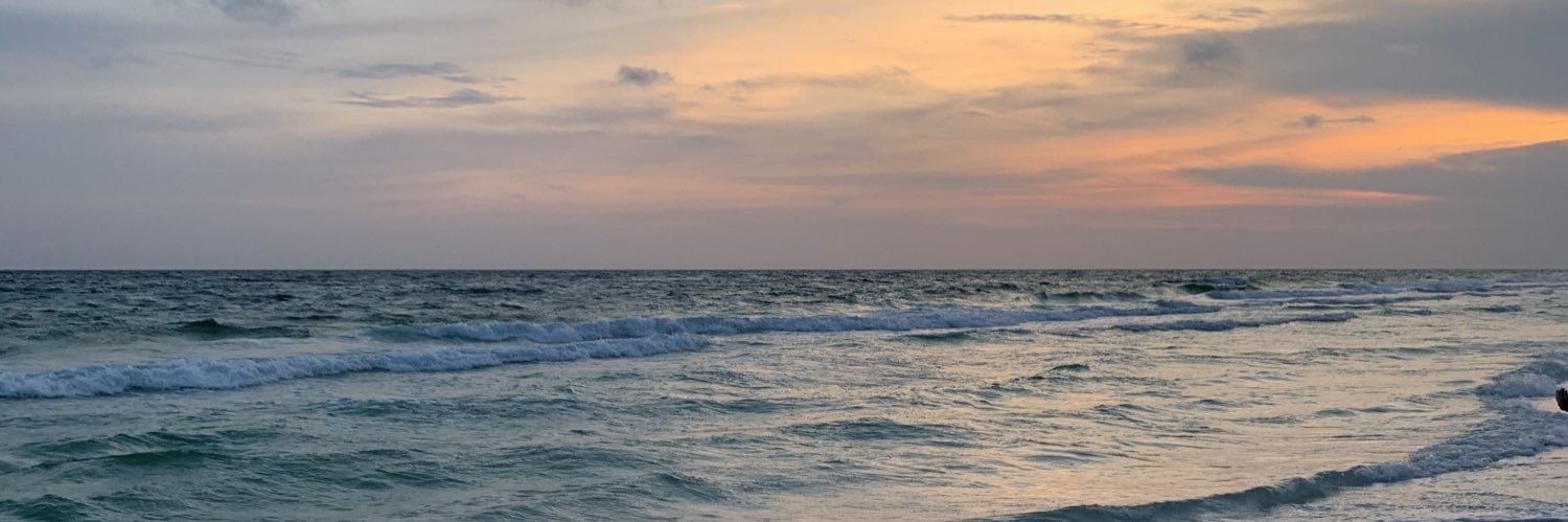 Corinne_Novak's profile banner image