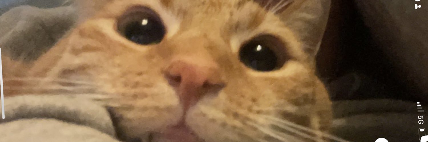 CapsaicinPapi's profile banner image