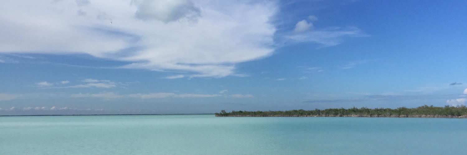 antami1's profile banner image