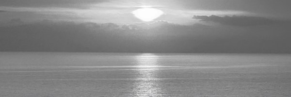 bdglad231 Profile Banner