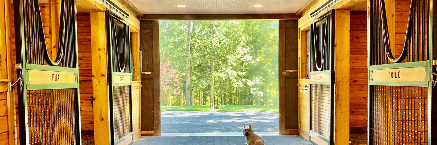 AmericanStalls's profile banner image