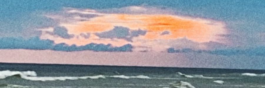 marconimadison's profile banner image