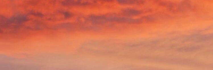 eternitygines's profile banner image