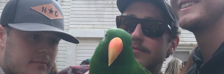 NicStarnes1's profile banner image