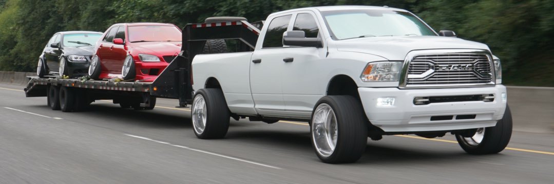 BigSmokey🐻 banner