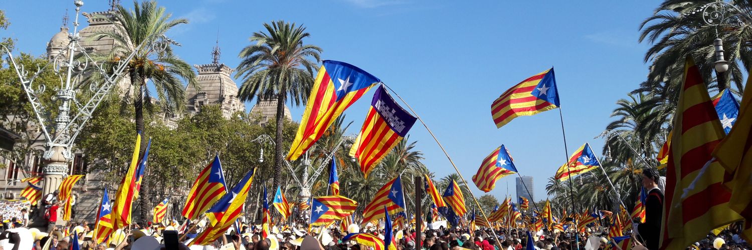 Sediciós separatista 🎗 banner