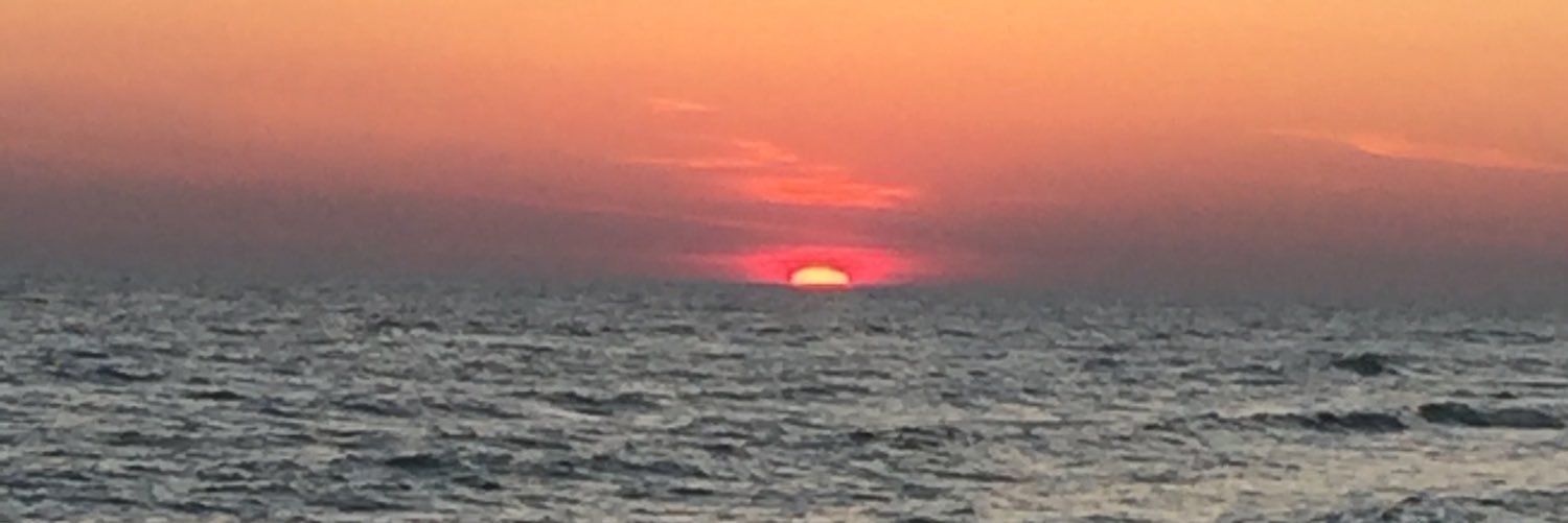 danzers17's profile banner image