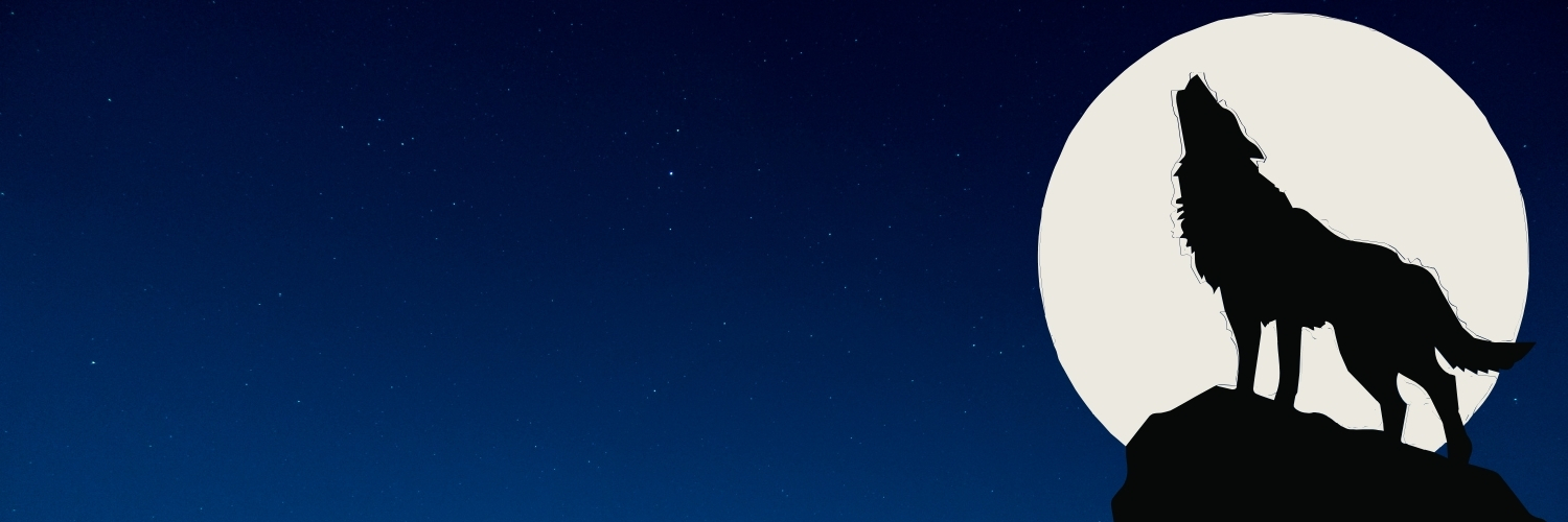 kuntaynlb's profile banner image