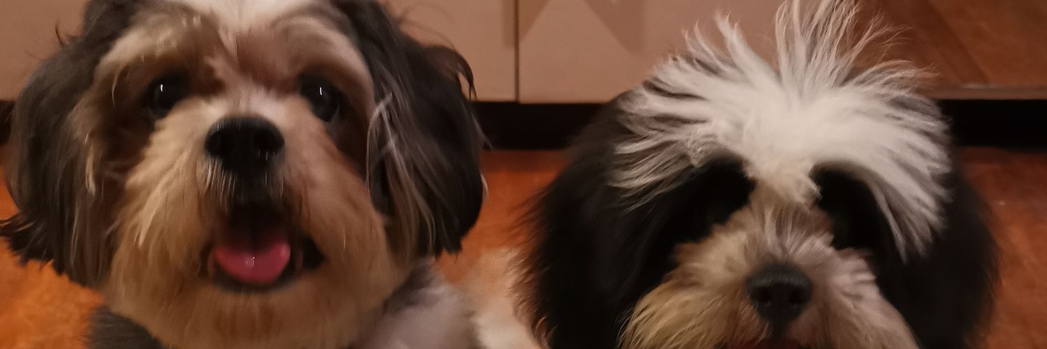 tipipayyyG's profile banner image