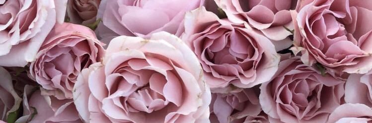 lolamfischer's profile banner image