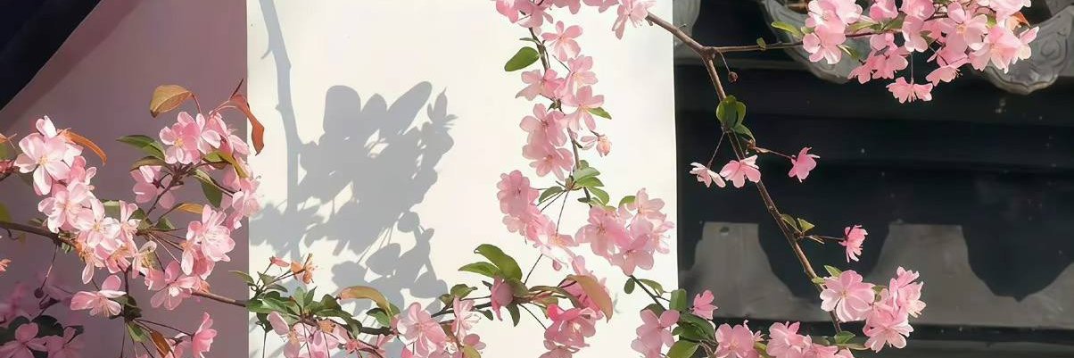 iaragallucci's profile banner image