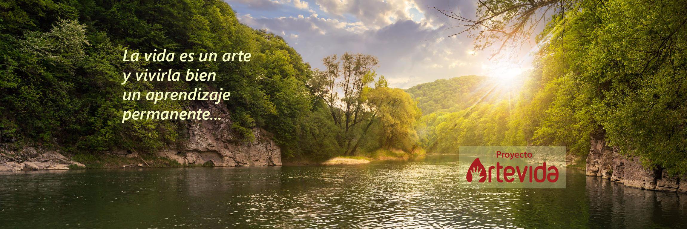 Proyecto Artevida banner