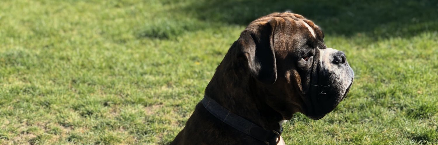 LauseyB's profile banner image