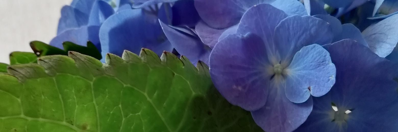 PabloTudon's profile banner image