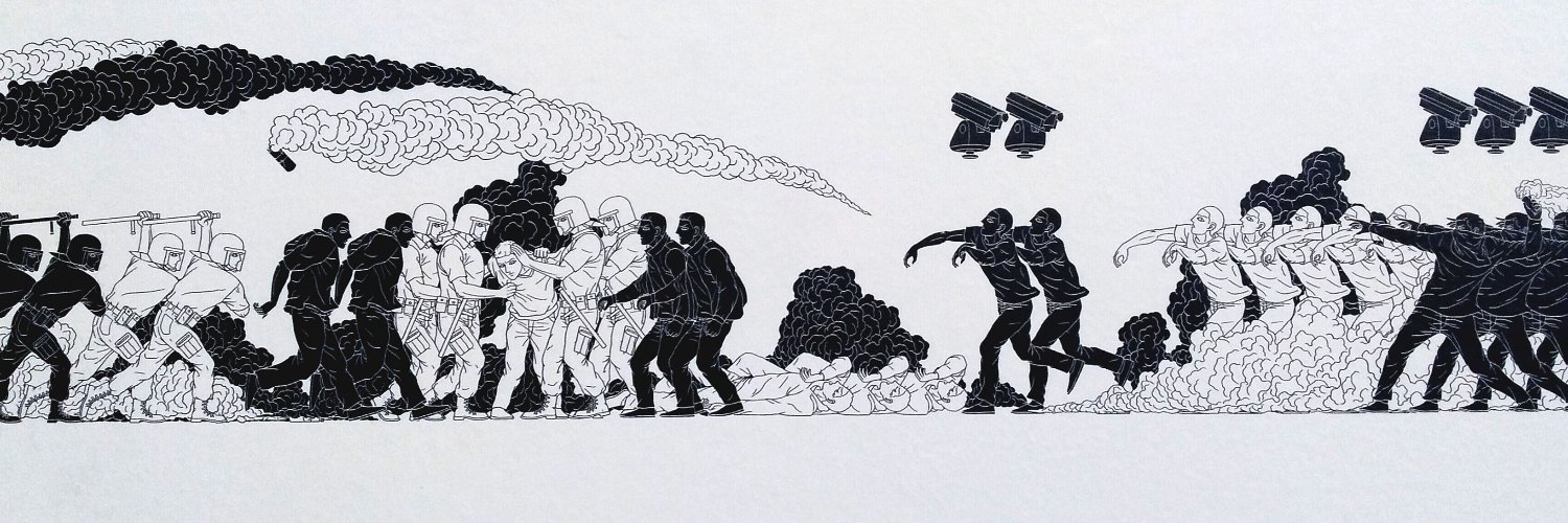 Perdieron un mapache banner