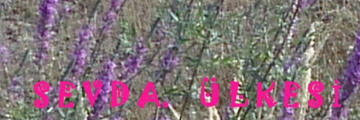 cos_osman's profile banner image
