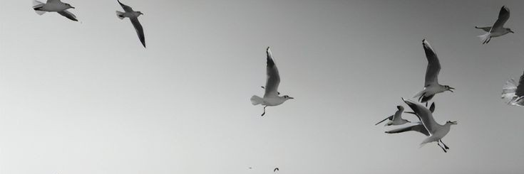 CuratedMariana's profile banner image