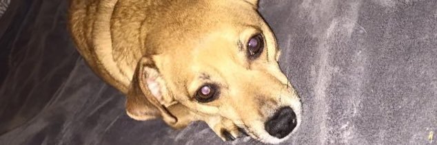allybby29's profile banner image
