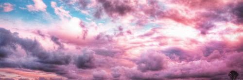 '`F. banner