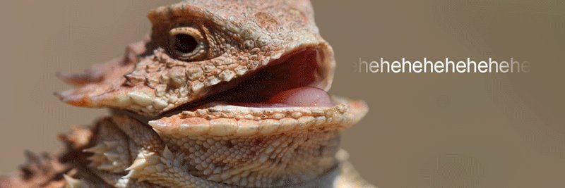 WillSCOliveira's profile banner image