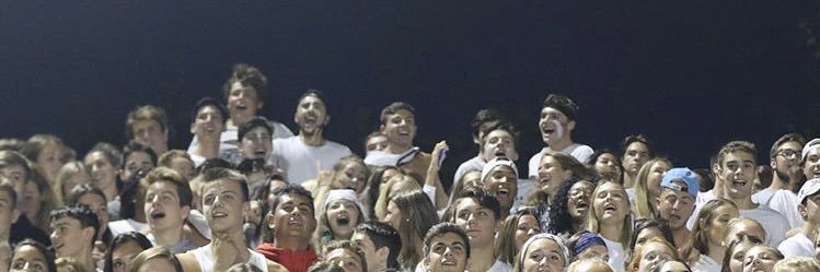 dubfansection's profile banner image