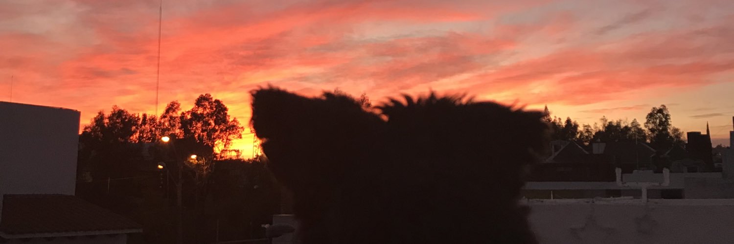iamgablp's profile banner image