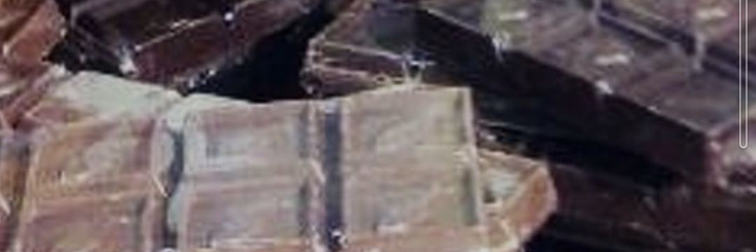 ちわー！ちんとん小町 banner