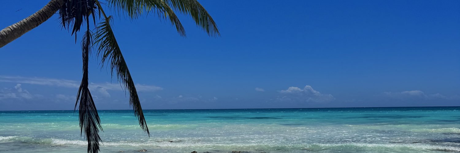 1CeleRodriguez's profile banner image