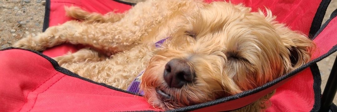 Meta Ry. 💙💙🌊 banner