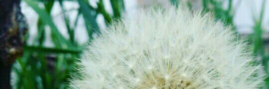 nat_vazquez8's profile banner image