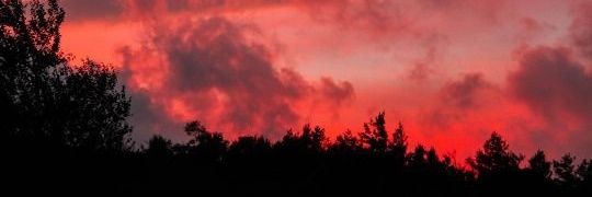 tefa4523's profile banner image