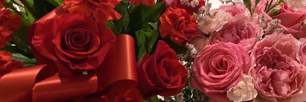 Nissafitt Profile Banner