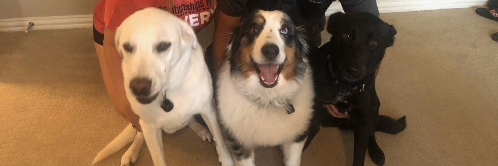 Carissa Rodgers banner