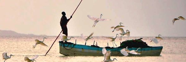meth_zo Profile Banner