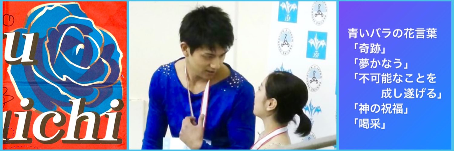 Aoi_Penguin's profile banner image