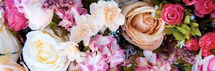 emkominsky's profile banner image