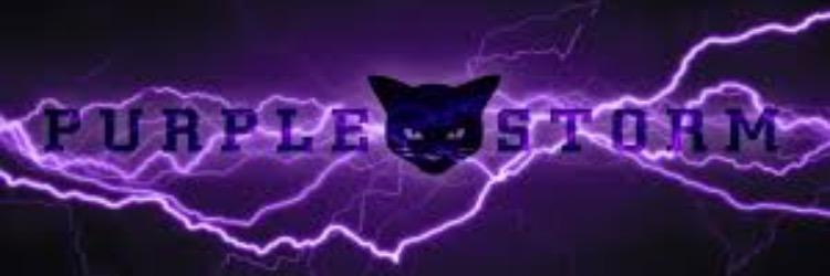 SC_StuSection's profile banner image