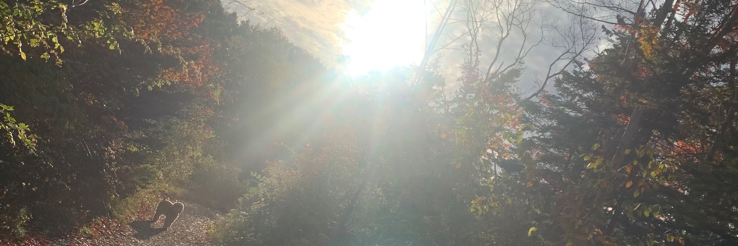 Sphericalwave's profile banner image