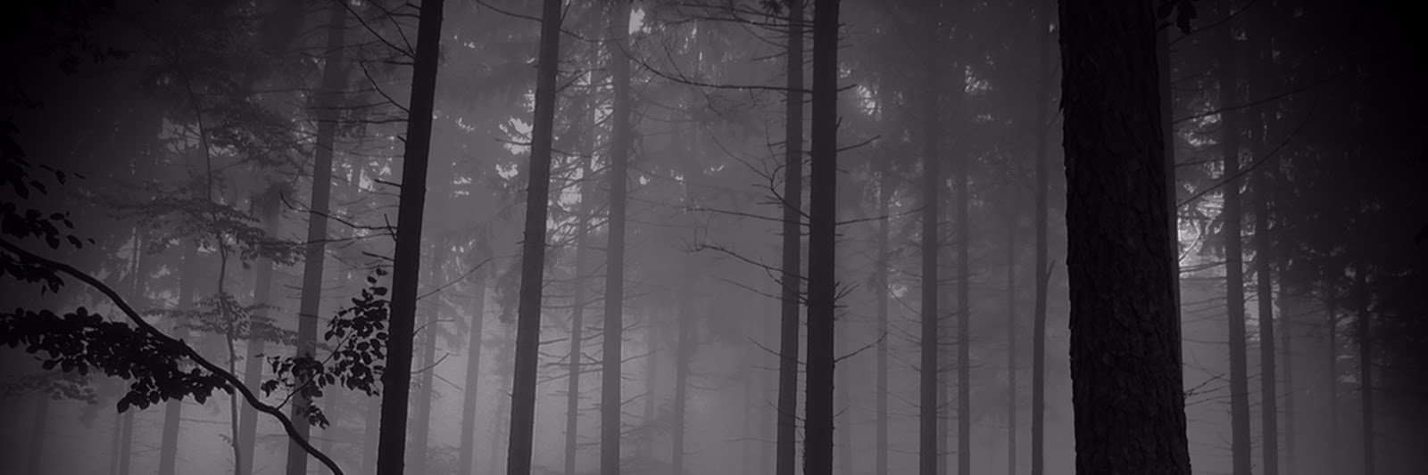 VJakeez's profile banner image