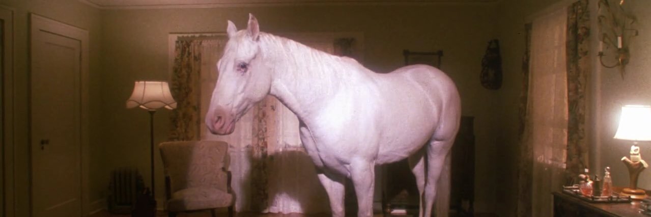 Liz Hernández banner