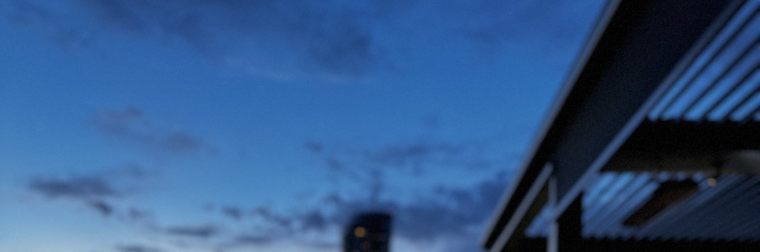 ⚜️TheHandsomeLife⚜️'s banner