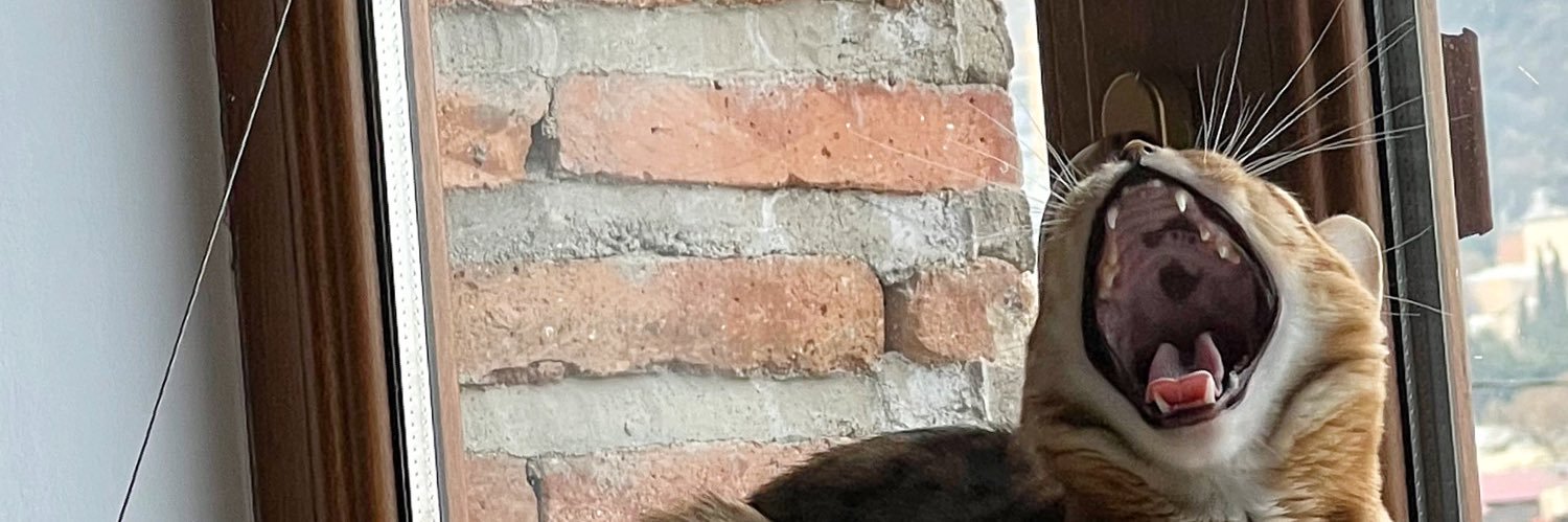 Bobronium's profile banner image