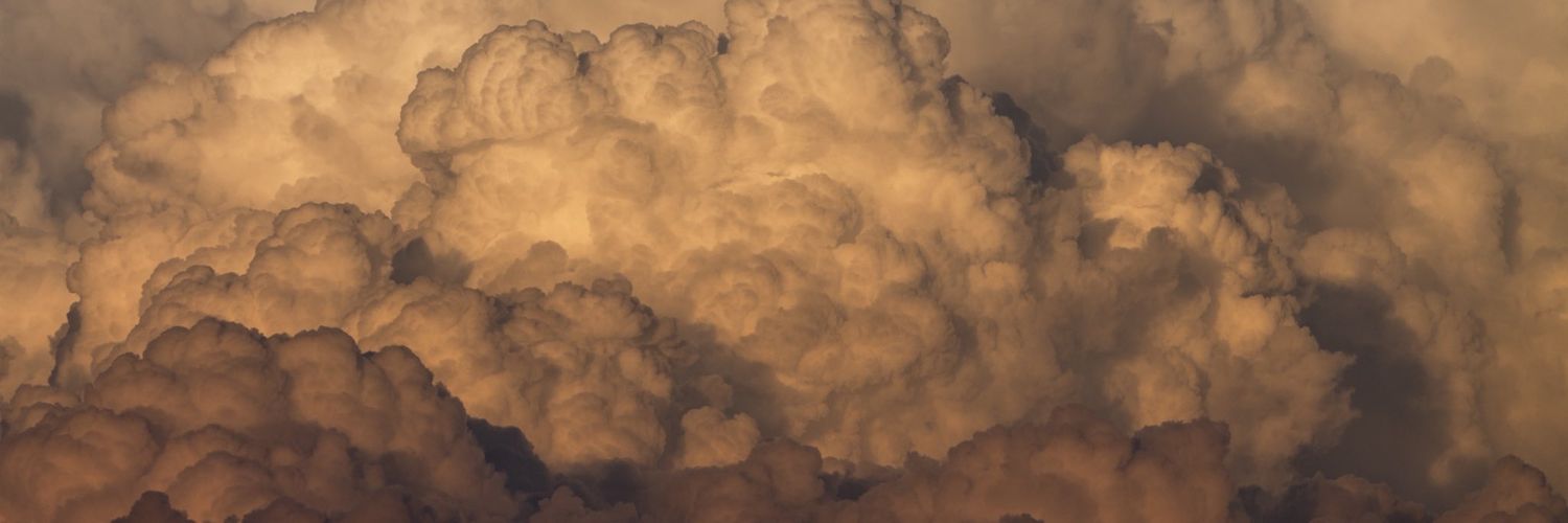 esther_soy's profile banner image
