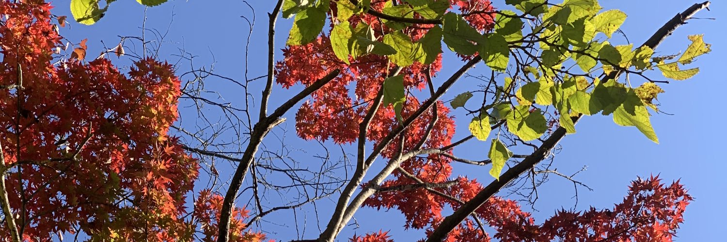 minimu623's profile banner image