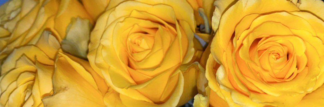 vanessa_ayee's profile banner image