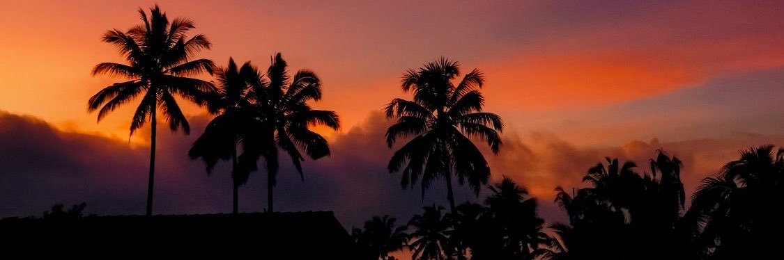 sGomez809's profile banner image