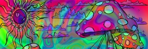 TMulleady's profile banner image
